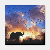 Afrikanische Elefant-Silhouette bei Sunset Magnet (Vorne)