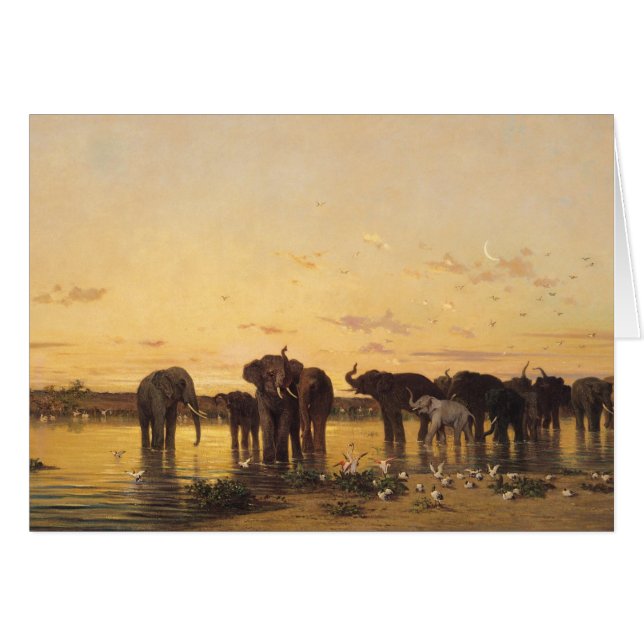 Afrikanische Elefanten (Vorderseite (Horizontal))