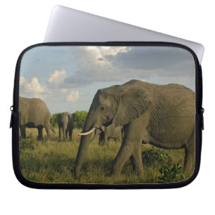 Afrikanische Elefanten grasen, Loxodonta africana, Laptopschutzhülle