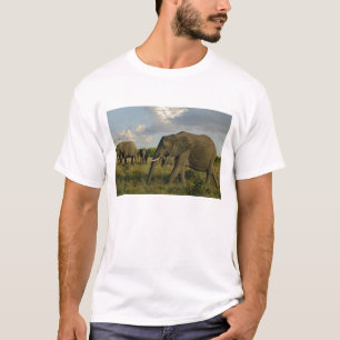 Afrikanische Elefanten grasen, Loxodonta africana, T-Shirt