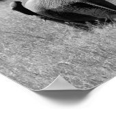 Afrikanische Elefanten im Masai Mara, Kenia Poster (Ecke)