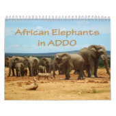Afrikanische Elefanten in Addo Kalender (Titelbild)