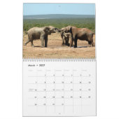 Afrikanische Elefanten in Addo Kalender (Mär 2027)
