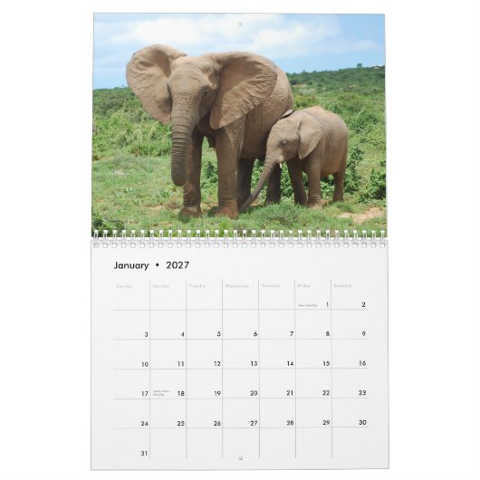 Afrikanische Elefanten in Addo Kalender (Jan 2027)