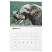 Afrikanische Elefanten in Addo Kalender (Feb 2027)