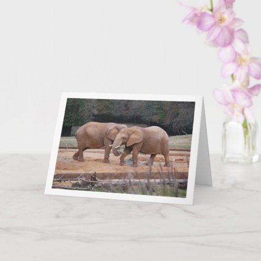 Afrikanische Elefanten Karte (Orchidee)