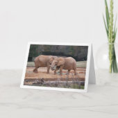 Afrikanische Elefanten Karte (Vorderseite)