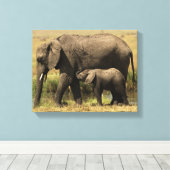 Afrikanische Elefanten Leinwanddruck (Insitu (Holzboden))