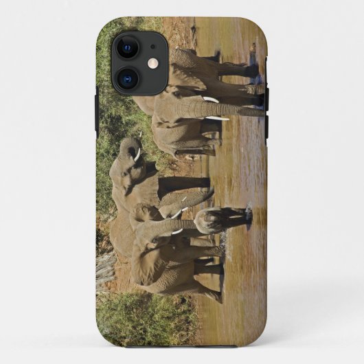 Afrikanische Elefanten, Loxodonta Africana, Sambur Case-Mate iPhone Hülle (Rückseite)
