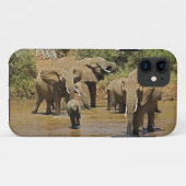 Afrikanische Elefanten, Loxodonta Africana, Sambur Case-Mate iPhone Hülle (Rückseite (Horizontal))