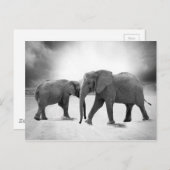 Afrikanische Elefanten Postkarte (Vorne/Hinten)