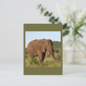 Afrikanische Elefanten Postkarte (Stehend Vorderseite)