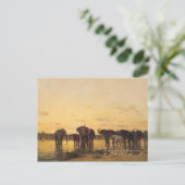 Afrikanische Elefanten Postkarte (Stehend Vorderseite)