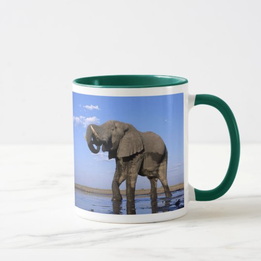 Afrikanische Elefanten-Tasse Tasse (Rechts)