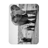 Afrikanische Elefanten und Kälber | Kenia, Afrika Magnet (Vertikal)