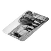 Afrikanische Elefanten und Kälber | Kenia, Afrika Magnet (Linke Seite)