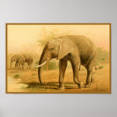 Afrikanische Elefanten Vintage Tierkunst Poster (Vorne)