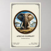 Afrikanische Elefanten-Zoologie-Serie Poster (Vorne)