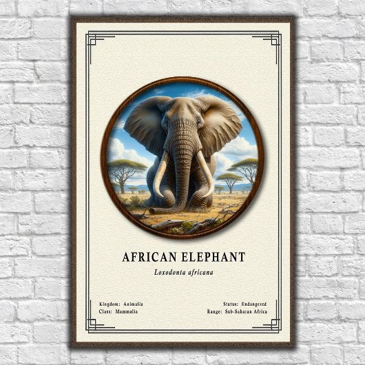 Afrikanische Elefanten-Zoologie-Serie Poster