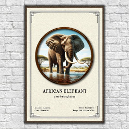 Afrikanische Elefanten-Zoologie-Serie Poster