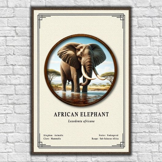 Afrikanische Elefanten-Zoologie-Serie Poster