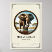 Afrikanische Elefanten-Zoologie-Serie Poster (Vorne)