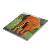 Afrikanische Elefantenfotografie Fliese (Seite)