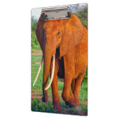 Afrikanische Elefantenfotografie Klemmbrett (Links)