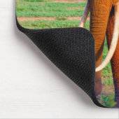 Afrikanische Elefantenfotografie Mousepad (Ecke)