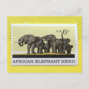 Afrikanische Elefantenherde 1970 Postkarte