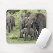 Afrikanische Elefantenherde Mousepad (Mit Mouse)