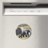 Afrikanische Elefantenherden Magnet (In Situ (Geschirrspüler))