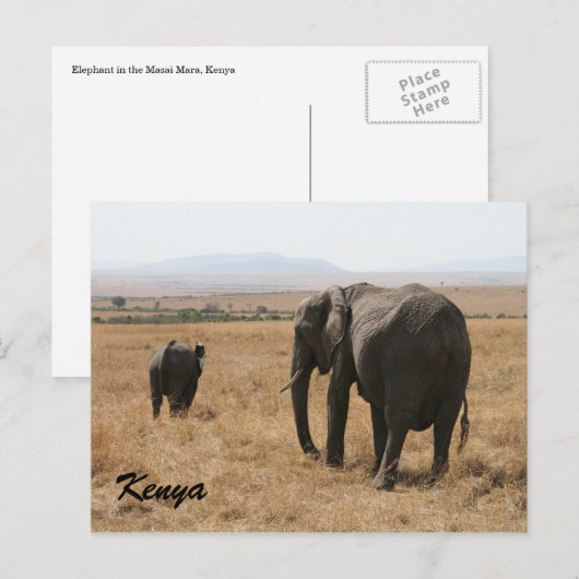 Afrikanische Elefantenmutter Postkarte (Vorne/Hinten)
