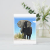 Afrikanische Elefantenpostkarte Postkarte (Stehend Vorderseite)