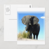 Afrikanische Elefantenpostkarte Postkarte (Vorne/Hinten)