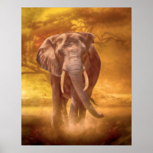 Afrikanische Elephant Nobility Poster