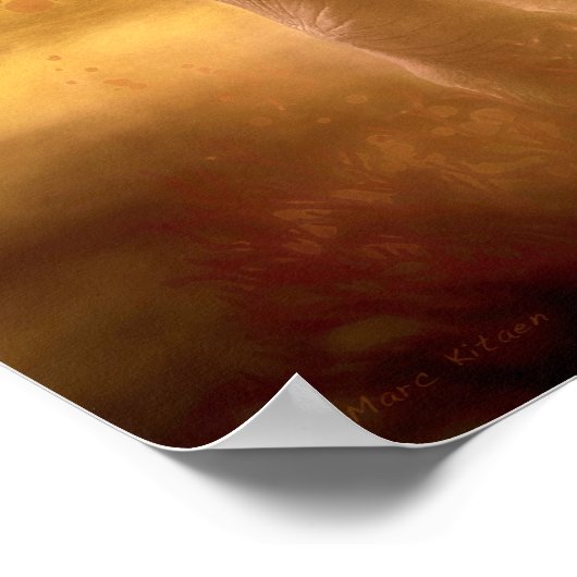 Afrikanische Elephant Nobility Poster (Ecke)