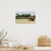 afrikanische Elephant-Plakatwand hängt Poster (Küche)