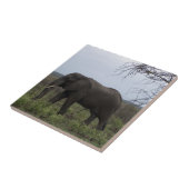 Afrikanische Elephant Wildlife FotoTile Fliese (Seite)