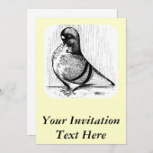 Afrikanische Eule-Taube 1978 Einladung (Vorne/Hinten)