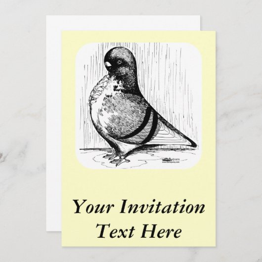 Afrikanische Eule-Taube 1978 Einladung (Vorne/Hinten)