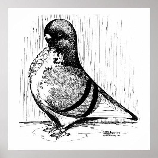Afrikanische Eule-Taube 1978 Poster (Vorne)