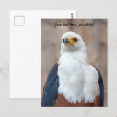 Afrikanische Fischadler Postcard Postkarte (Vorne/Hinten)