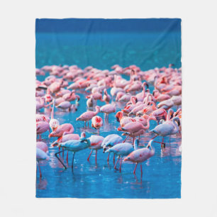afrikanische Flamingos. Gruppe von Flamingos stehe Fleecedecke