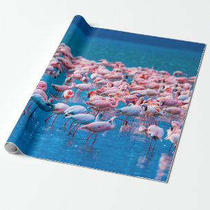 afrikanische Flamingos. Gruppe von Flamingos stehe Geschenkpapier