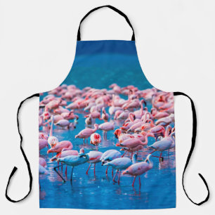 afrikanische Flamingos. Gruppe von Flamingos stehe Schürze