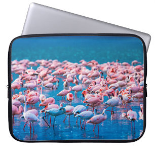 Afrikanische Flamingos. Gruppe von Flamingos steht Laptopschutzhülle