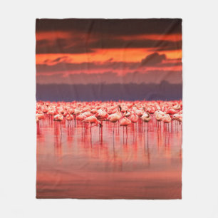 Afrikanische Flamingos im See bei schönem Sonnenun Fleecedecke