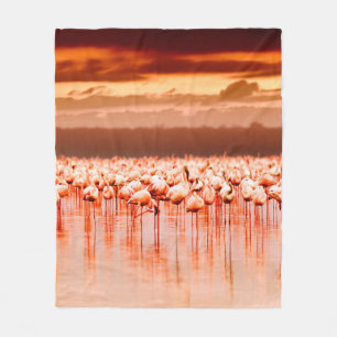 Afrikanische Flamingos im See bei schönem Sonnenun Fleecedecke