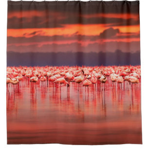 Afrikanische Flamingos im See über schöne Sonne Duschvorhang